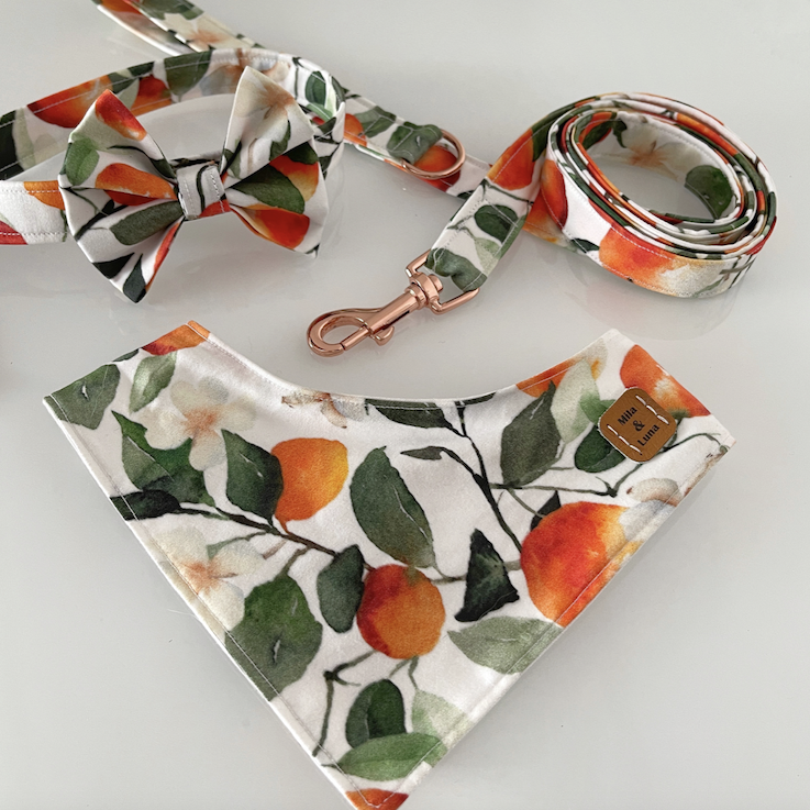 Bildschirmfoto 2022-03-11 um 21.49.00